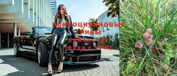 эйфоретик Алексеевка