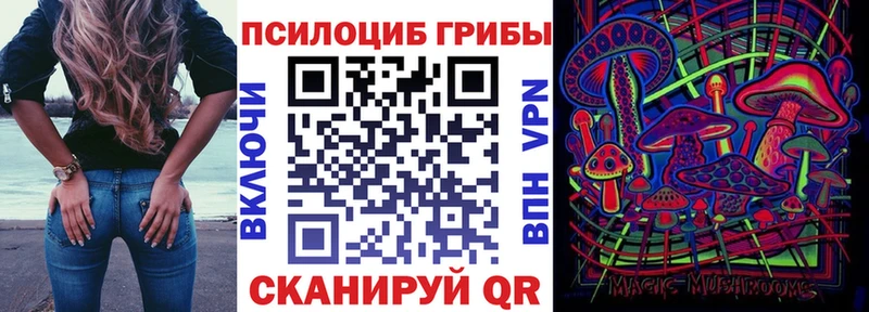 Галлюциногенные грибы Cubensis  купить  сайты  кракен tor  Мышкин 